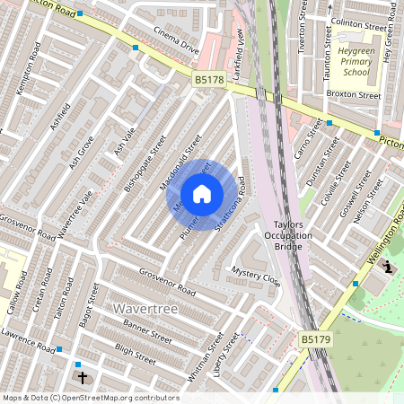 Plumer Street, Wavertree, L15