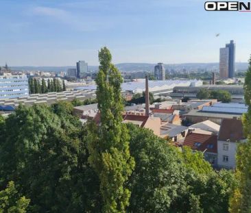 Podnájem pokoje, respektive bytu 1+1 32 m - Photo 3