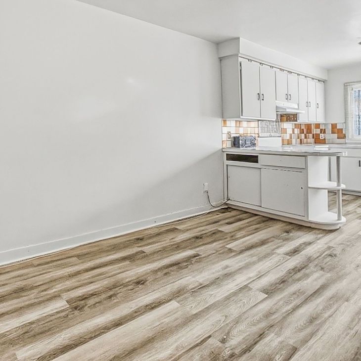 7336 8e Avenue, H2A 3C9, H2A 3C9, Montréal - Photo 1