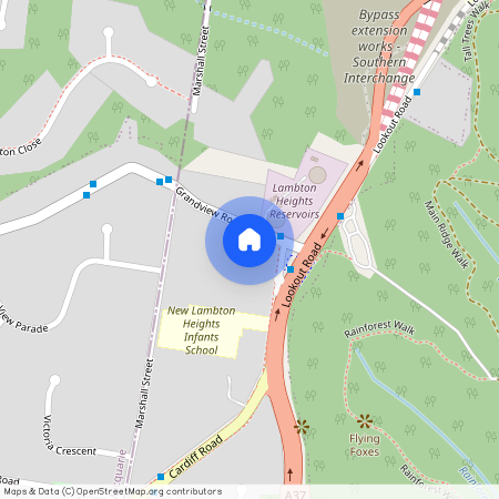 3 Grandview Road, NSW 2305, New Lambton Heights