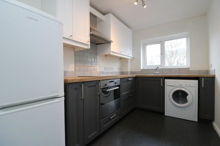 Montpelier Terrace, BRIGHTON - Photo 5