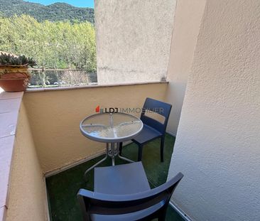 Location Appartement 1 pièce 25m² AMELIE LES BAINS PALALDA 66110 - Photo 3