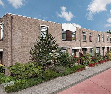 Maison familiale sur Safarigeel, Zoetermeer - À louer - Foto 4