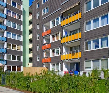 Demnächst frei! 3-Zimmer-Wohnung in Münster Berg Fidel - Photo 1