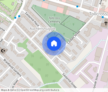 Corbett Court, Tollcross, Glasgow, G32 - Photo 1