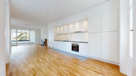 Magnifique appartement rénové de 4,5 pièces au rez-de-chaussée supérieur avec terrasse couverte, vue sur le lac et cheminées - Photo 5