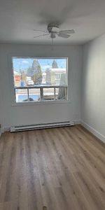 2 1/2 entièrement rénové – Saint-Jérôme (quartier Saint-Antoine) - Photo 4