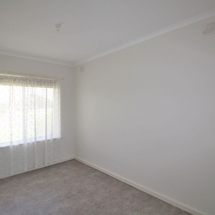 Modern 2 Bedroom Unit with Large Rear Yard - Photo 1