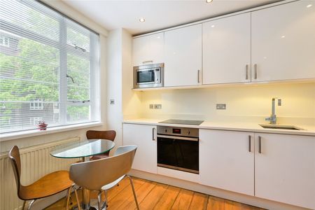 Bright One Bedroom Apartment in Chelsea - Photo 5