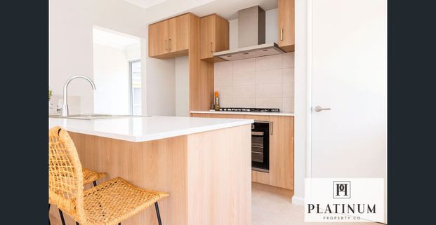 Brand-New 3x2 with Chef Kitchen & Premium Features - Photo 1