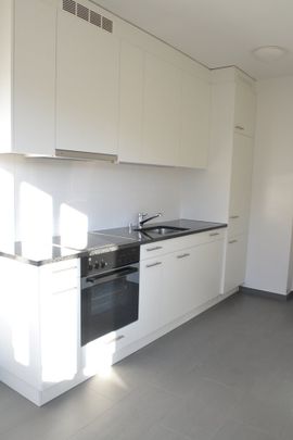 Proche des organisations internationales - Photo 1