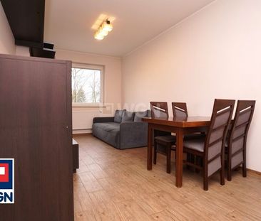 Apartament na wynajem Piotrków Trybunalski, Wyzwolenia - Photo 4