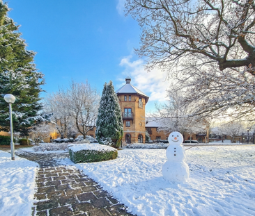 1 bedroom apartment to rent - Photo 6