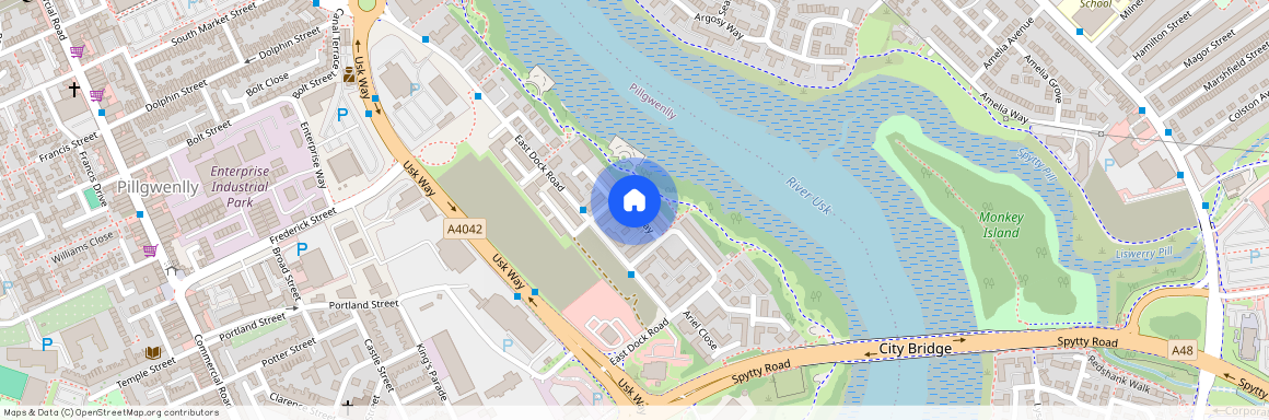 Alicia Way, Newport, NP20