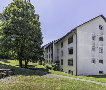 Befristete attraktive Wohnungen in Kloten bis 30.09.2027 - Photo 4