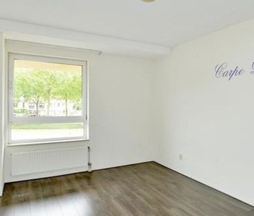 Lotustuin 0ong, 3078 KL Rotterdam, Nederland - Foto 3