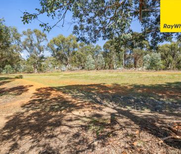 20 Fernyhough Crescent, Lyneham ACT 2602 - House For Rent | Domain - Photo 4