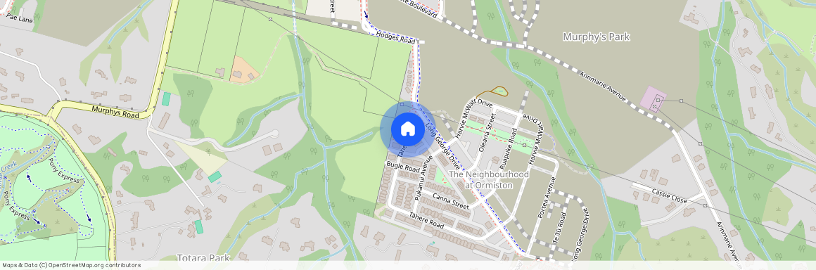 7 Tahere Road, Flat Bush, Manukau City