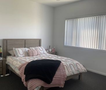 New Pics to Come! - Photo 4