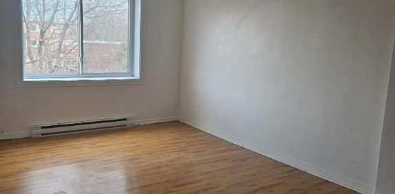 1 CH - 1 SDB - Montréal - $1,245 /mo - Photo 2
