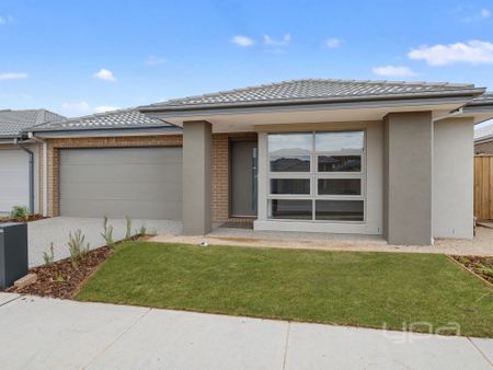 BRAND NEW 4 BEDROOM FAMILY HOME - Photo 4