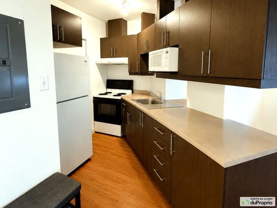 203-49, King Ouest, Sherbrooke (Jacques-Cartier) à louer - Photo 1