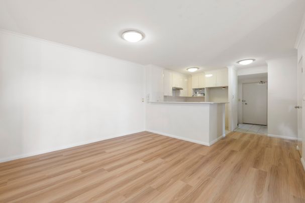 6/208-226 Pacific Highway, Hornsby NSW 2077 - Apartment For Rent | Domain - Photo 1