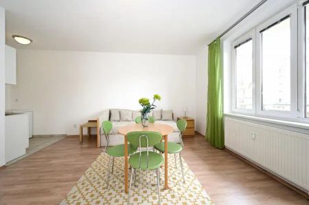 Kompletně zařízený byt 1+kk, 35 m - Photo 2