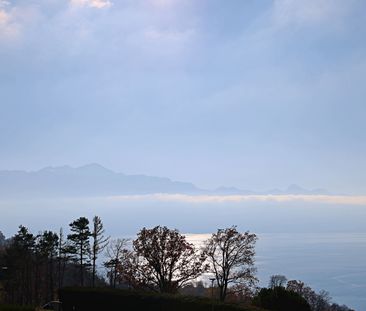 Magnifique appartement 4p / 2 ou 3 chambres / Vue imprenable lac et... - Photo 4