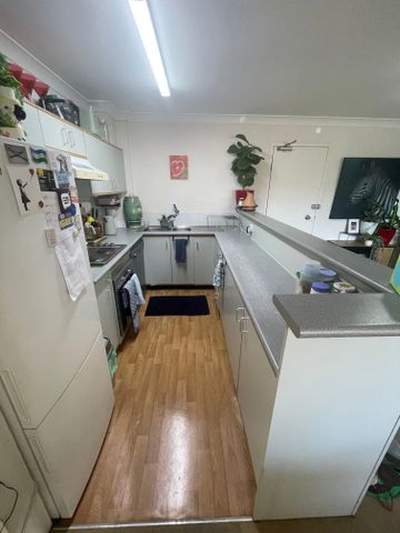 Alexandria - Photo 5