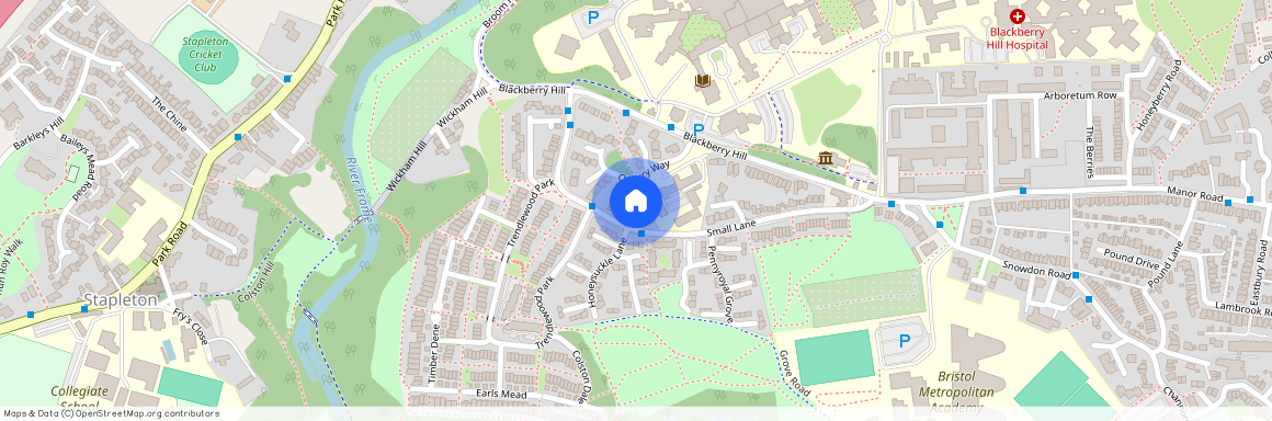 Blackberry Avenue, Bristol