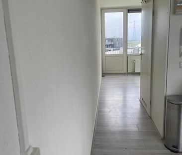 Studio Amsterdam - Niet vermeld - Photo 3