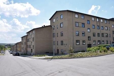 Afd. 6 Bjellerupparken - Foto 4