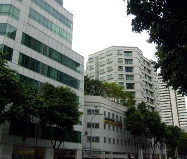 Sunshine Plaza (D7), Apartment - For Rent - Photo 4