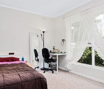 Brunswick Delight - Photo 4