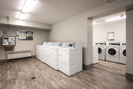 Harbour View Apartments - 1 Bedroom - Photo 5
