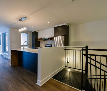 9675 Av. Papineau - Photo 3