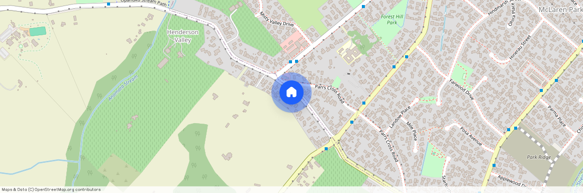 9A Pine Avenue, Henderson, Waitakere City