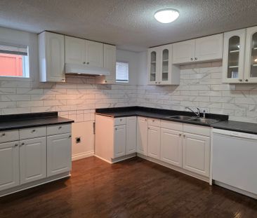 BSMT LEVEL OF GREAT HOUSE IN COQUITLAM (UTILITIES INCLUDED) - Photo 3