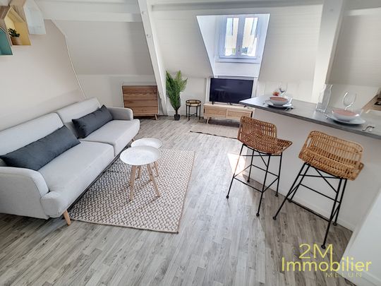 Location Appartement 1 pièce 25m² - Photo 1