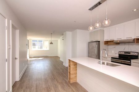 9675 Av. Papineau - Photo 4