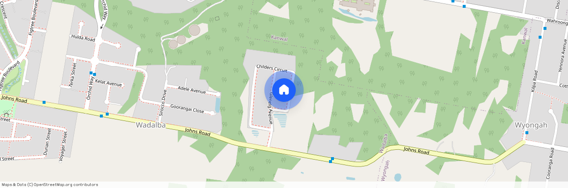 46A Childers Cct, NSW 2259, Wadalba