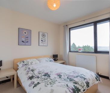 16 Waddells Hill, Comber, BT23 5WJ - Photo 6