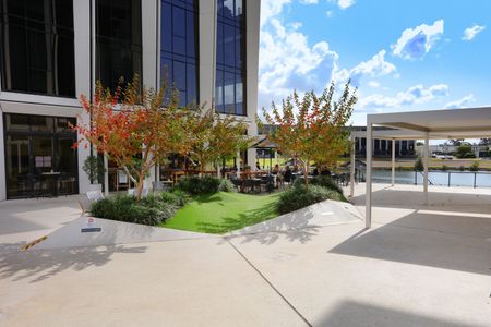 203C/1 The Concourse, Benowa QLD 4217 - Apartment For Rent | Domain - Photo 4