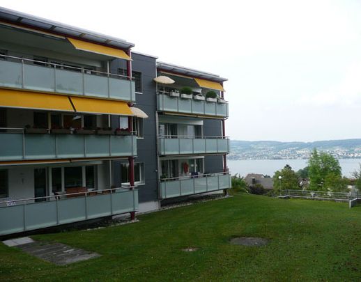 Wohnung mit 2 Balkonen - mit Blick auf den Zürichsee - Photo 1