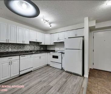 GREAT 2 BED, 1 BATH APARTMENT WITH OUTDOOR PARKING STALL IN THE COM... - Photo 2