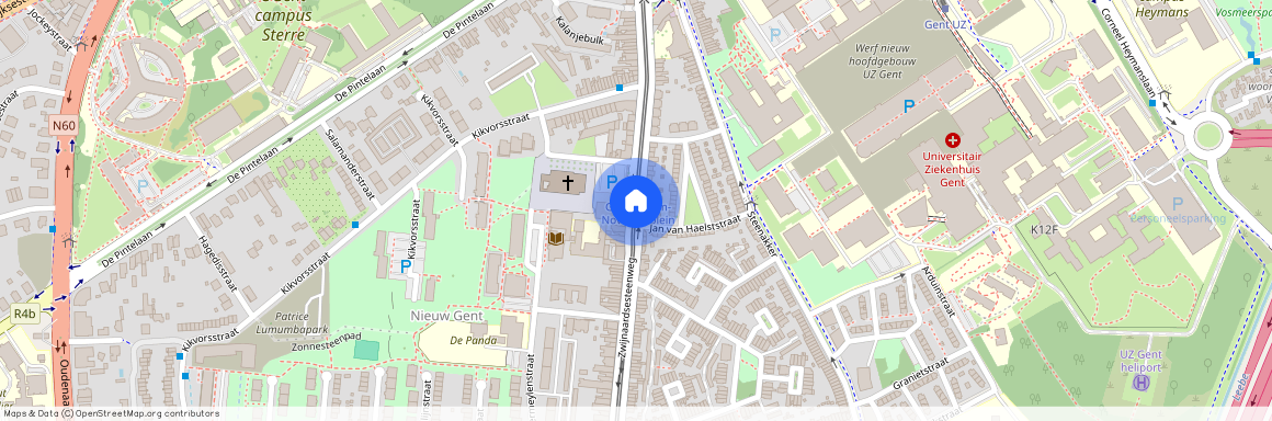 Zwijnaardsesteenweg, 9000, Gent