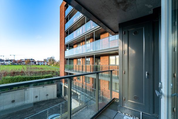 Weavers Hall, Levmoss Park, Leopardstown, Dublin 18, D18 F896 - Photo 1