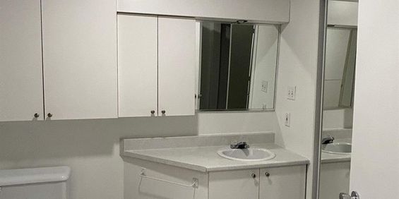 1 CH - 1 SDB - Saint-Charles-Borromée - $1,249 /mo - Photo 3