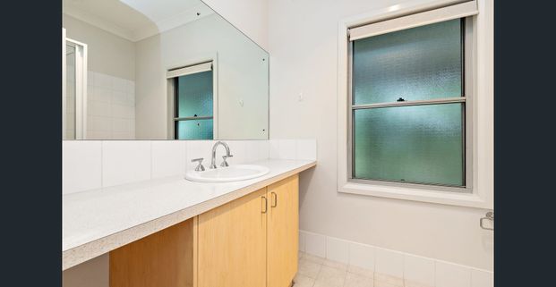 Immerse Yourself in Vineyard Life - Photo 1